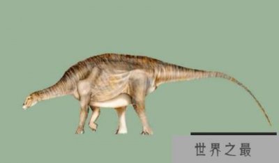 ​内乌肯龙：阿根廷食草恐龙（长15米/距今8300万年前）