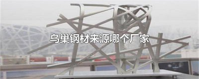 ​北京鸟巢钢铁是哪个公司钢吗 北京鸟巢钢材供应商
