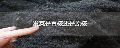 ​发菜细胞是真核还是原核生物? 发菜有细胞核吗