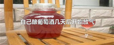 ​自制葡萄酒几天放一次气 自制葡萄酒多长时间放气