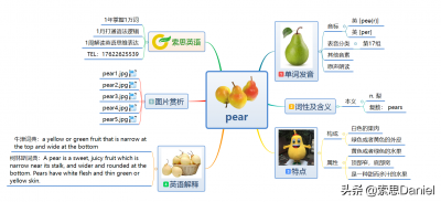 ​梨用英语怎么读（梨用英语怎么读(用汉语表示出来)）