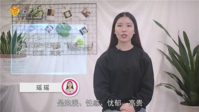 ​卡普里灰紫玫瑰是真花吗 卡普里灰紫渐变玫瑰