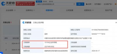 ​吴亦凡两家公司欠税427万被公告