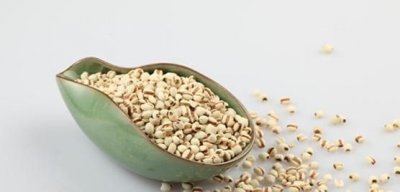 ​薏仁加什么去湿气,薏米和什么熬粥最好