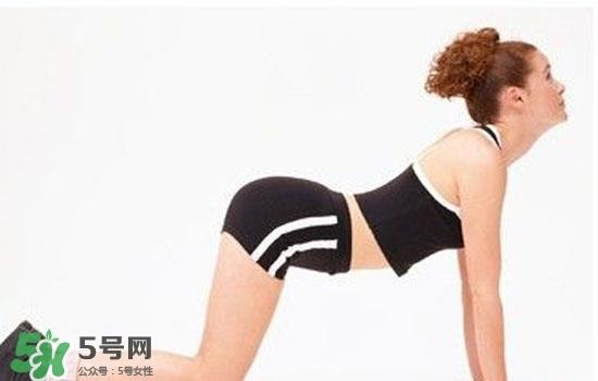 运动减肥会反弹吗 运动减肥会不会长肌肉