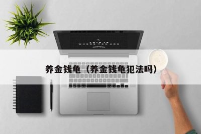 ​养金钱龟（养金钱龟犯法吗）