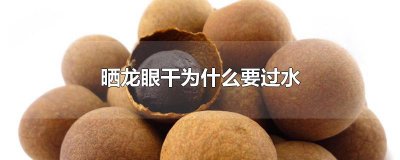 ​晒龙眼干为什么要过水