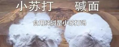 ​食用纯碱是小苏打吗