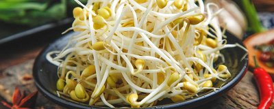 ​豆芽是蔬菜类吗