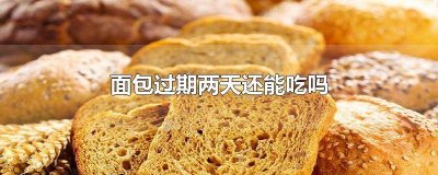 ​711饭团过期两天还能吃吗 711的东西过期了还能吃吗