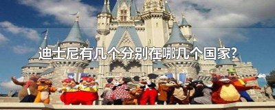 ​迪士尼最先是哪个国家的 迪士尼在国内有几个