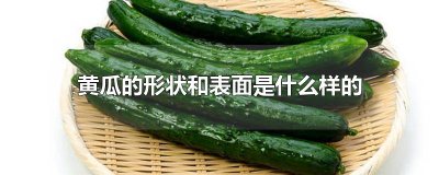 ​黄瓜的形状和表面是什么样的