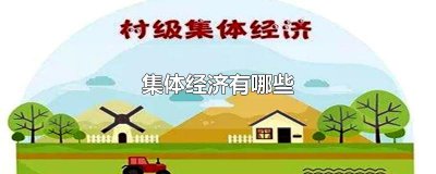 ​集体经济有哪些