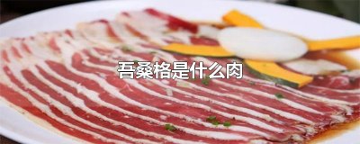 ​吾桑格是什么肉