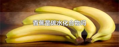 ​香蕉是碳水化合物吗