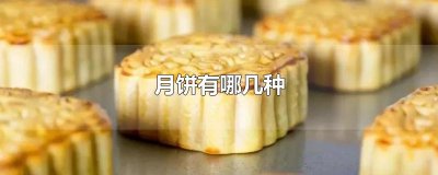 ​月饼有哪几种