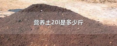 ​营养土20l是多少斤