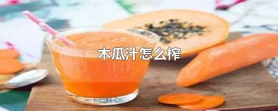 ​木瓜汁怎么榨