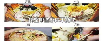 ​螃蟹那一部分不能吃 螃蟹不能吃的部分