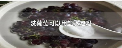 ​葡萄能用盐水洗吗怎么洗 葡萄能用盐水洗吗为什么