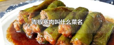 ​青椒里面放肉叫什么菜名 青椒里面灌肉叫什么菜