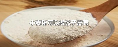 ​小麦粉可以做饺子皮吗