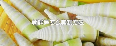 ​新鲜笋怎么腌制方法