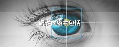 ​眼球内容物包括