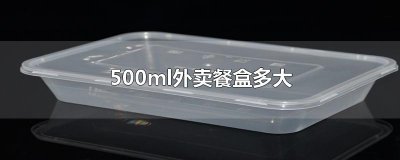 ​500ml外卖餐盒多大