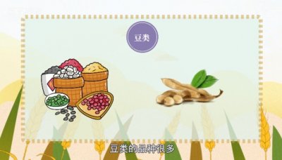 ​五谷中的菽是指什么