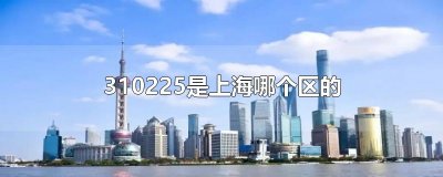 ​310225是上海哪个区的