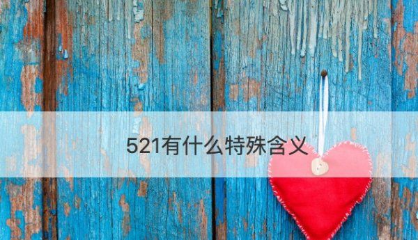 521代表什么意思,520和52分别是什么意思什么意思图3