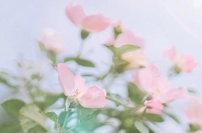 ​天然气燃气灶喷嘴孔径天然气的喷嘴孔直径是多少毫米