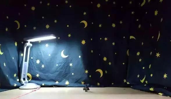 南三条都卖什么（南三条再也回不去了）(17)