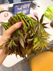 ​香椿芽怎样做最好吃（香椿芽美食的12种做法）