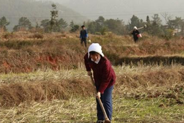 男人为何想娶农村女人?究竟惊人!(娶农村女人的十大缘故)