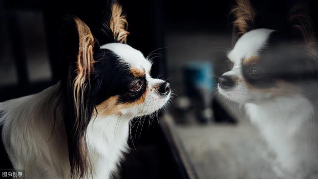 经典搞笑幽默句子精选100句(经典幽默的搞笑句子)(2)