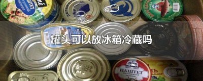 ​罐头瓶可以放冰箱冷藏吗 罐头能不能冷藏