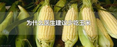 ​哪些人不能吃玉米和红薯 长期吃红薯玉米等粗粮不吃米饭会怎样