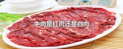 ​白肉比红肉好在哪里 吃红肉和白肉哪个好
