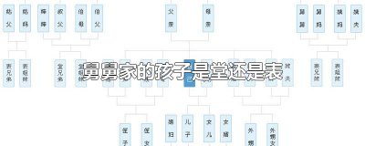 ​舅舅家的孩子是堂还是表