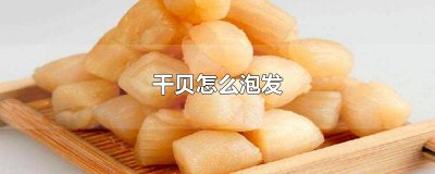 ​干贝怎么泡发