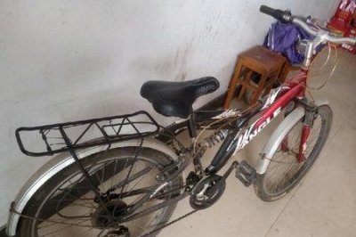 ​安琪儿自行车是杂牌吗