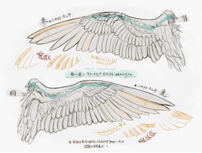 ​翅膀怎么画好看又简单
