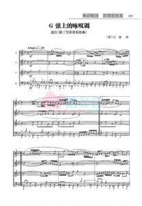 ​g弦上的咏叹调速度力度音调