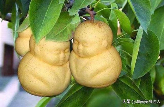 莲雾是什么水果(4种好看不好吃的水果)(3)