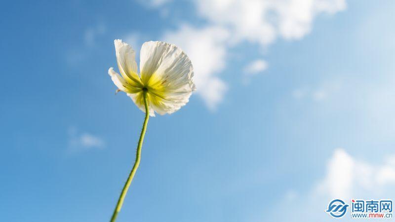 521的爱情暗示语(521发朋友圈的句子和图片)