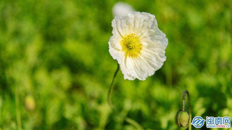 521的爱情暗示语(521发朋友圈的句子和图片)