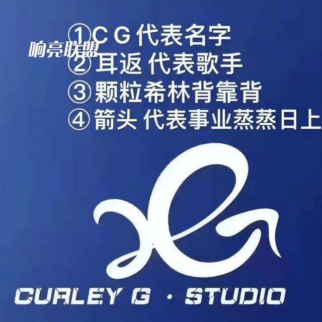 希林娜依高有多努力(希林娜伊高放自信否认抄袭)(3)