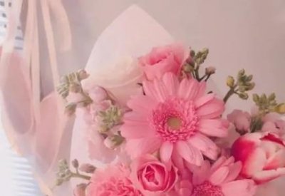 ​青钱柳茶的功效与作用 禁忌 降血压血脂但3类人不能喝青钱柳茶